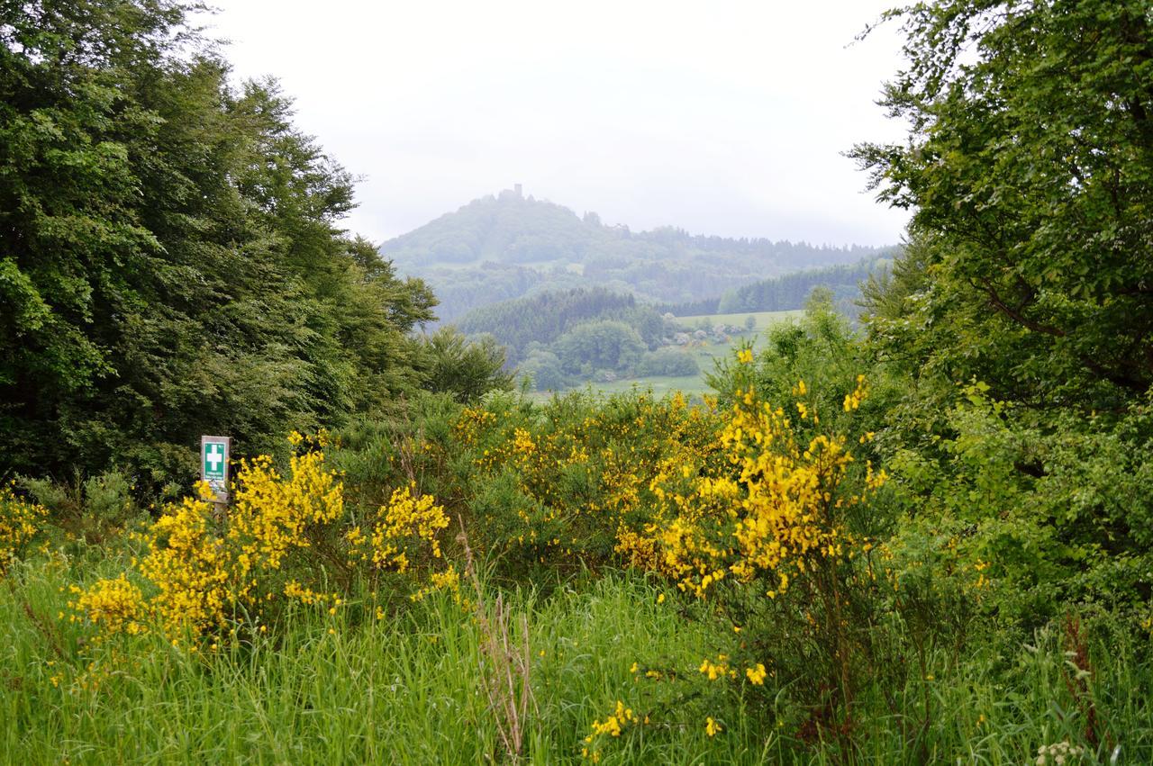 Franky House Am Nuerburgring Bed & Breakfast Quiddelbach Ngoại thất bức ảnh