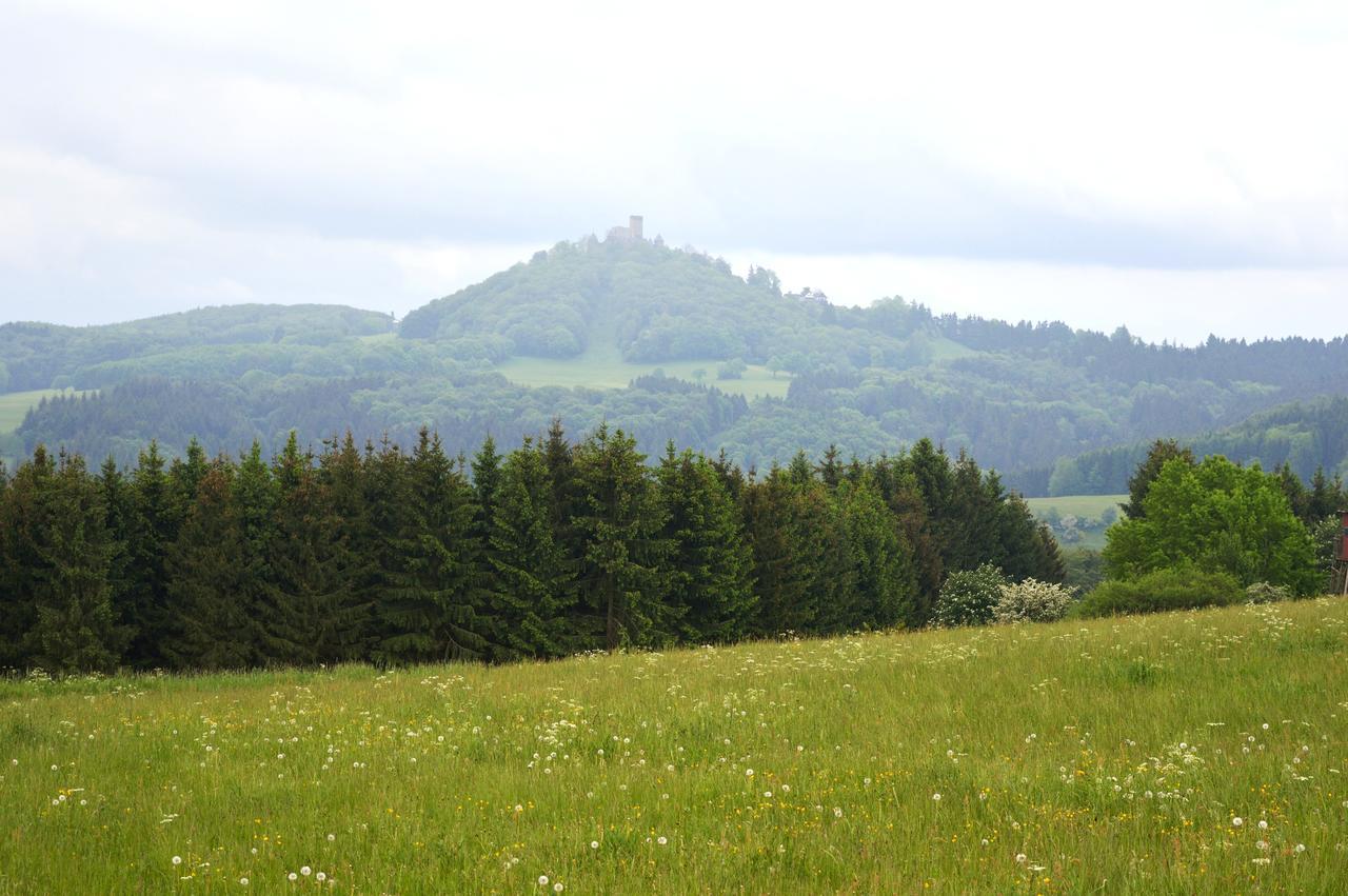 Franky House Am Nuerburgring Bed & Breakfast Quiddelbach Ngoại thất bức ảnh